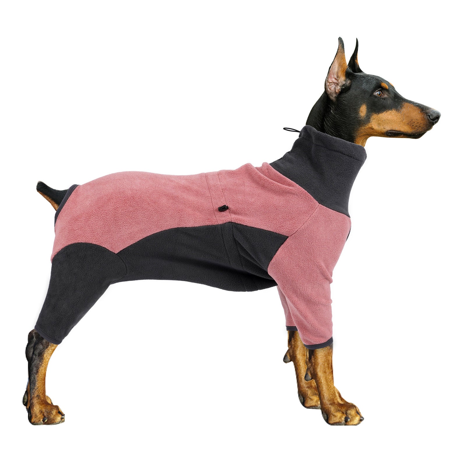 Dog Cold Proof and Warm Clothes