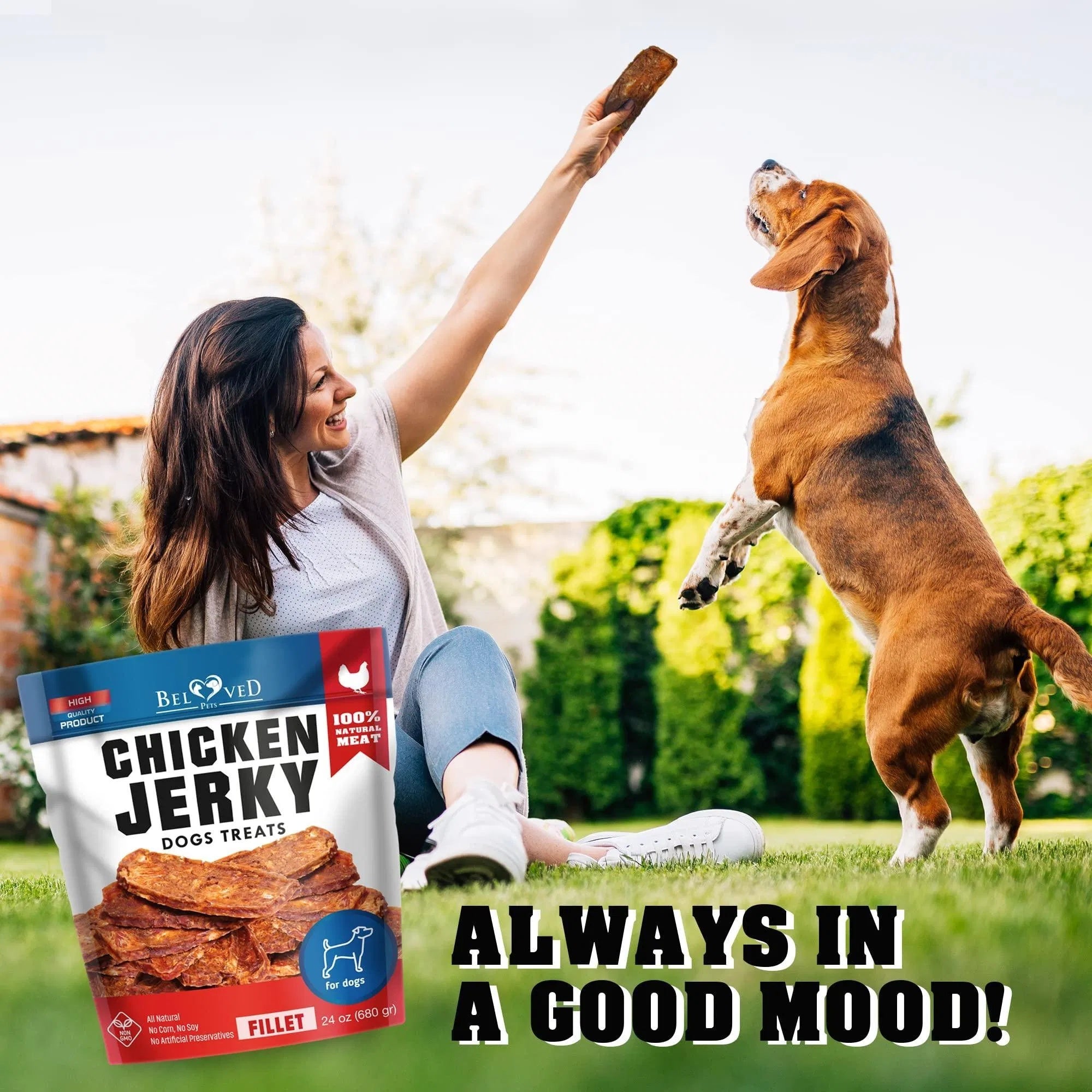 Chicken Jerky Dog Treats Pet Snacks Grain Free Organic Meat High Protein Dried Strips